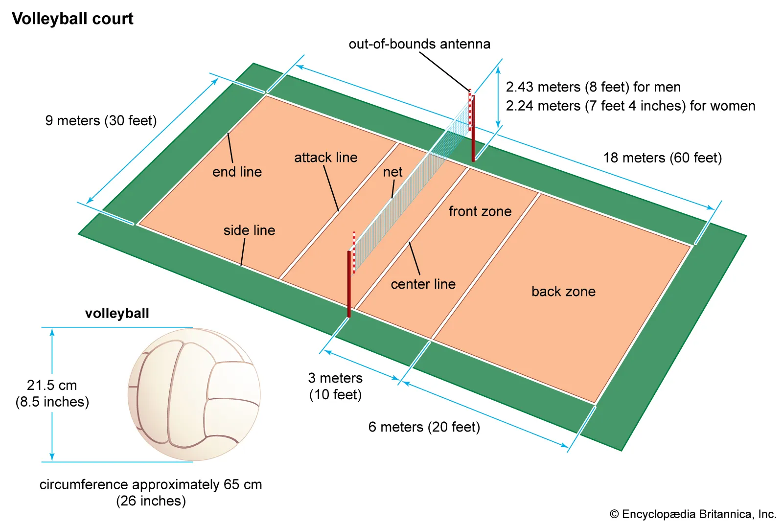 Volleyball Rules Explained A stepbystep guide [2025]