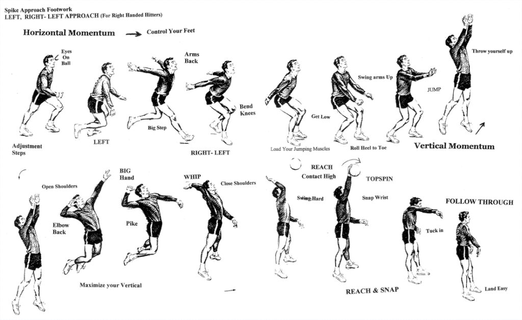 Fundamentos do voleibol