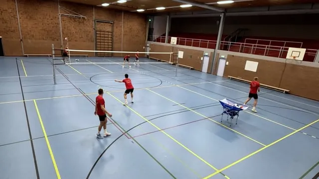 Perhospora lentopallo: Miten se toimii ja miksi se toimii blogi